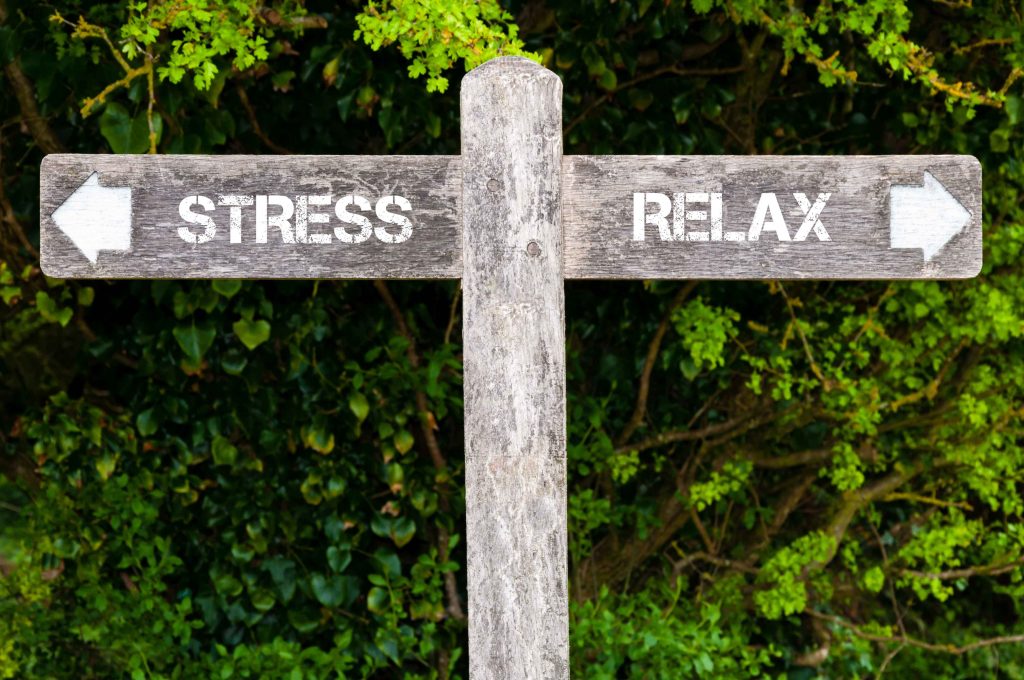 Meditation and Stress Reduction